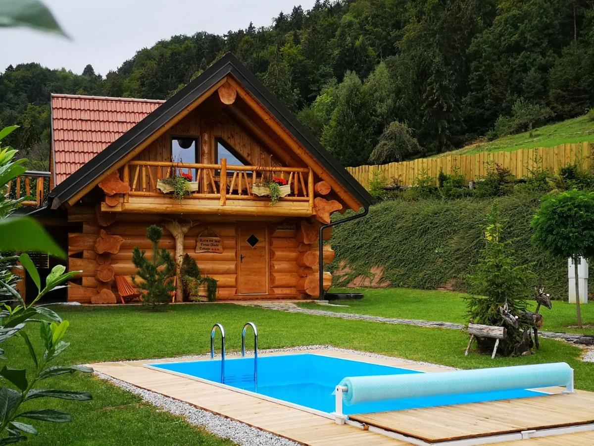 Forest Glade Cottage Recica ob Savinji Eksteriør billede