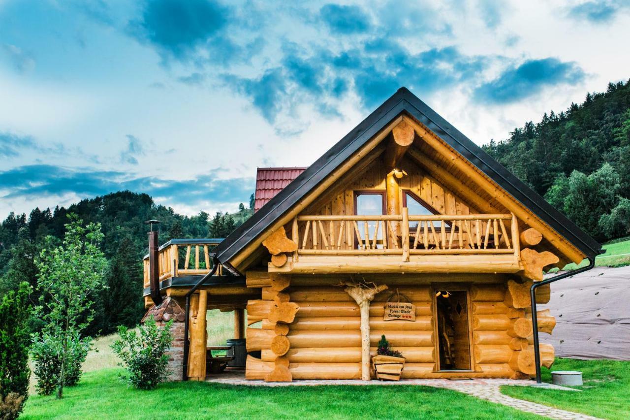 Forest Glade Cottage Recica ob Savinji Eksteriør billede